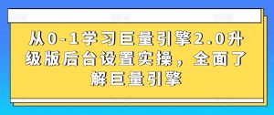 从0-1学习巨量引擎2.0升级版后台设置实操，全面了解巨量引擎-网创学习资源