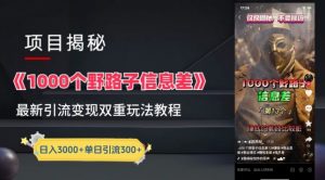 一千个野路子信息差最新玩法教程-变现+引流的玩法具体拆解【揭秘】-网创学习资源