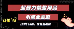 最新情趣项目引流全渠道，自带高流量，保姆级教程，轻松破百单，日引500+粉【揭秘】-网创学习资源