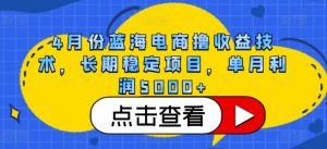 4月份蓝海电商撸收益技术，长期稳定项目，单月利润5000+【揭秘】-网创学习资源