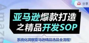 【训练营】亚马逊爆款打造之精品开发SOP，系统化洞察亚马逊精品选品全流程-网创学习资源