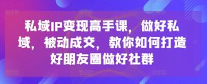 私域IP变现高手课，做好私域，被动成交，教你如何打造好朋友圈做好社群-网创学习资源