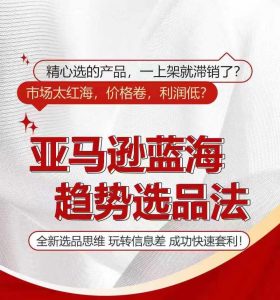 亚马逊蓝海趋势选法，全新选品思维，玩转信息差-网创学习资源