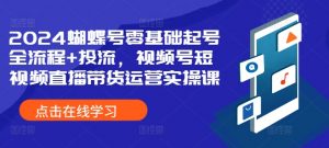 2024蝴蝶号零基础起号全流程+投流，视频号短视频直播带货运营实操课-网创学习资源
