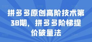 拼多多原创高阶技术第38期，拼多多阶梯提价破量法-网创学习资源