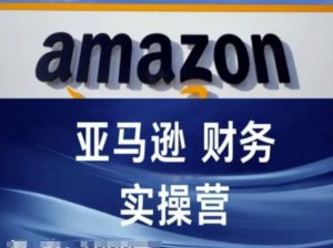 亚马逊财务核算实操营-亚马逊跨境电商教程-网创学习资源
