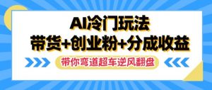 AI冷门玩法，带货+创业粉+分成收益，带你弯道超车，实现逆风翻盘【揭秘】-网创学习资源