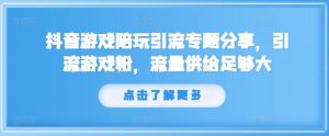 抖音游戏陪玩引流专题分享，引流游戏粉，流量供给足够大-网创学习资源
