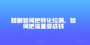 短剧如何把转化拉满，如何把流量变成钱-网创学习资源