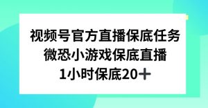 视频号直播任务，微恐小游戏，1小时20+【揭秘】-网创学习资源