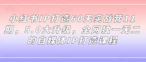 小红书IP打造60天实战营11期，5.0大升级，全网独一无二的自媒体IP打造课程-网创学习资源