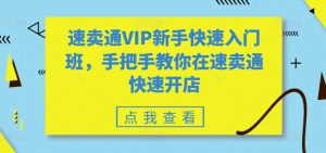 速卖通VIP新手快速入门班，手把手教你在速卖通快速开店-网创学习资源