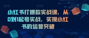小红书打爆款实战课，从0到1起号实战，实现小红书的运营突破-网创学习资源