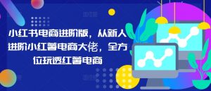 小红书电商进阶版，从新人进阶小红薯电商大佬，全方位玩透红薯电商-网创学习资源
