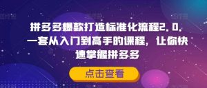 拼多多爆款打造标准化流程2.0，一套从入门到高手的课程，让你快速掌握拼多多-网创学习资源