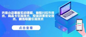 抖音小店最新实战课程，体验分拉升技术，商品卡引流技术，投流效果优化技术，精选联盟引流技术-网创学习资源