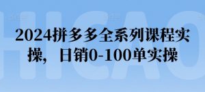 2024拼多多全系列课程实操，日销0-100单实操【必看】-网创学习资源