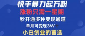 快手暴力起万粉，涨粉只需一星期，多种变现模式，直接秒开万合，单月变现过W【揭秘】-网创学习资源