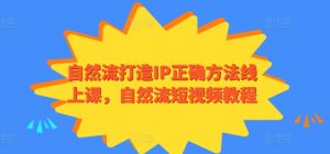 自然流打造IP正确方法线上课，自然流短视频教程-网创学习资源