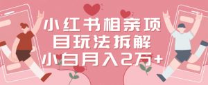 小红书相亲项目玩法拆解，有人通过这个副业项目做到了月收入2万多【揭秘】-网创学习资源