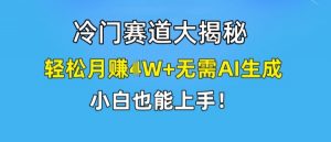 冷门赛道大揭秘，轻松月赚1W+无需AI生成，小白也能上手【揭秘】-网创学习资源