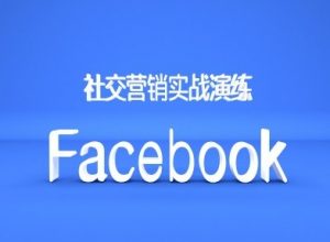 Facebook社交营销实战演练，外贸人绝对不能错过的营销推广平台-网创学习资源