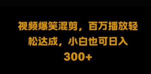 视频号零门槛，爆火视频搬运后二次剪辑，轻松达成日入1k【揭秘】-网创学习资源
