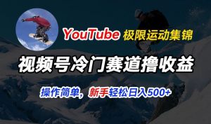 视频号冷门赛道撸收益，YouTube搬运极限运动集锦，暴力起号，操作简单流量高，轻松日入5张【揭秘】-网创学习资源