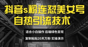 抖音s粉连怼美女号自热引流技术复制粘贴，20天万粉账号，无需实名制，矩阵操作【揭秘】-网创学习资源