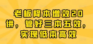 老板降本增效20讲，管好三本五效，实现低本高效-网创学习资源
