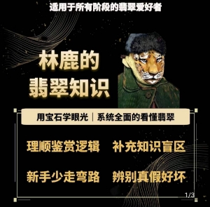 林鹿的翡翠知识，​用宝石眼光，系统全面的看懂翡翠-网创学习资源