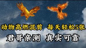 动物超燃混剪，每天轻松5张，剪辑简单大家爱看【揭秘】-网创学习资源