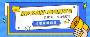 拼多多虚拟U盘电商红利项目：月赚2万+，新手小白也能玩-网创学习资源