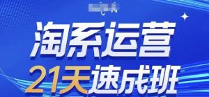 淘系运营21天速成班(更新24年8月)，0基础轻松搞定淘系运营，不做假把式-网创学习资源