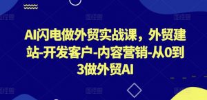 AI闪电做外贸实战课，​外贸建站-开发客户-内容营销-从0到3做外贸AI-网创学习资源