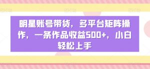 明星账号带货，多平台矩阵操作，一条作品收益500+，小白轻松上手【揭秘】-网创学习资源