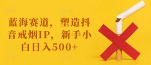 蓝海赛道，塑造抖音戒烟IP，新手小白日入500+【揭秘】-网创学习资源