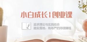 小白成长创业课：追求理论与实践结合，踏实落地，有尊严的持续赚钱-42节-网创学习资源
