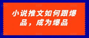 小说推文如何跟爆品，成为爆品【揭秘】-网创学习资源
