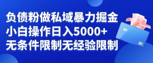 负债粉私域暴力掘金，小白操作入5000，无经验限制，无条件限制【揭秘】-网创学习资源