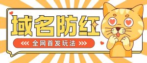 0基础搭建域名防红告别被封风险，学会可对外接单，一单收200+【揭秘】-网创学习资源