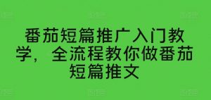 番茄短篇推广入门教学，全流程教你做番茄短篇推文-网创学习资源