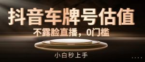抖音车牌号估值，不露脸直播，0门槛，小白秒上手【揭秘】-网创学习资源