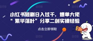 小红书短剧日入过千，爆单大佬“繁华落叶”分享二创实操经验-网创学习资源