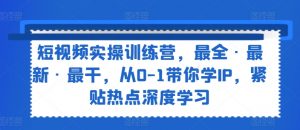 短视频实操训练营，最全·最新·最干，从0-1带你学IP，紧贴热点深度学习-网创学习资源