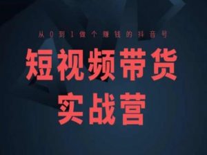 短视频带货实战营(高阶课)，从0到1做个赚钱的抖音号-网创学习资源