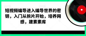短视频编导进入编导世界的密钥，入门从拆片开始，培养网感，建素素库-网创学习资源