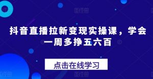 抖音直播拉新变现实操课，学会一周多挣五六百-网创学习资源