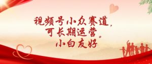视频号小众赛道，可长期运营，小白友好【揭秘】-网创学习资源