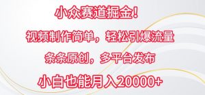 小众赛道掘金，视频制作简单，轻松引爆流量，条条原创，多平台发布【揭秘】-网创学习资源